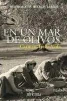 En un mar de olivos