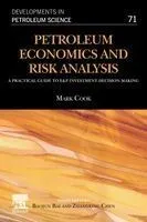 Petroleum Economics and Risk Analysis, Volume 71: A Practical Guide to E&p Investment Decision-Making
