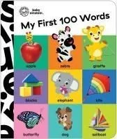 Baby Einstein: My First 100 Words