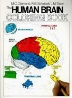 Human Brain Colouring Book