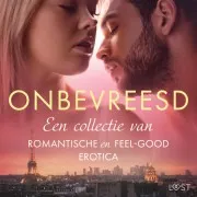 Onbevreesd: Een Collectie Van Romantische En Feel-Good Erotica