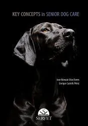 Key Concepts in Senior Dog Care